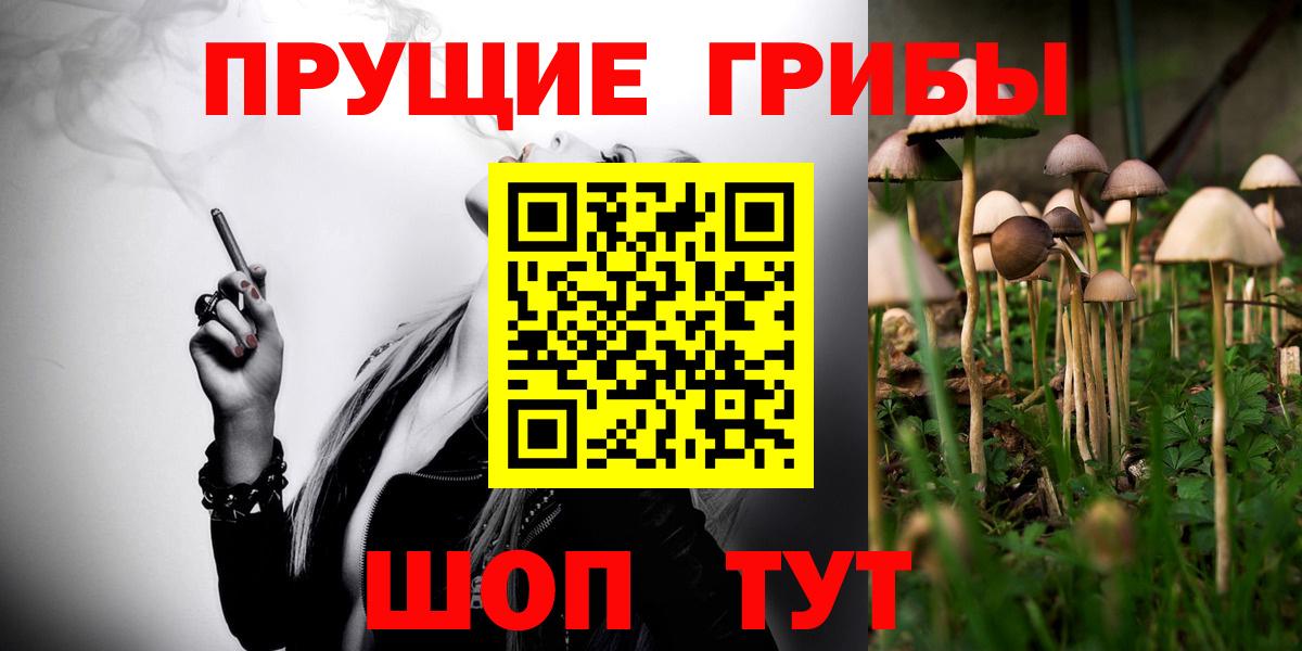 Галлюциногенные грибы Psilocybe Серов