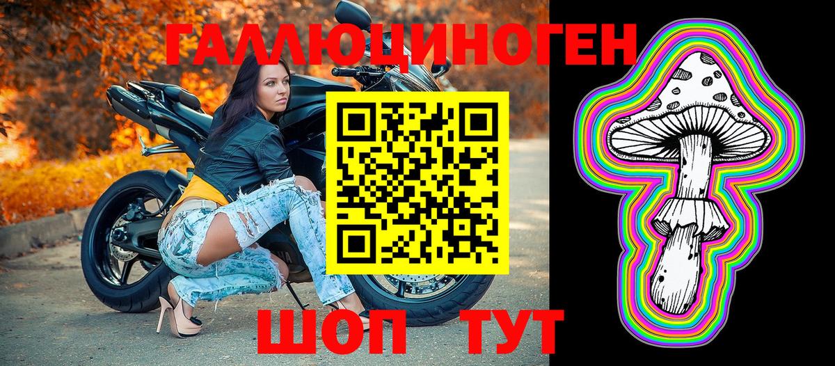 Серов  Галлюциногенные грибы Psilocybe  Вход с VPN 